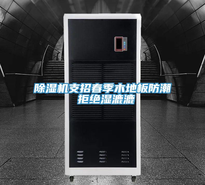除濕機(jī)支招春季木地板防潮 拒絕濕漉漉