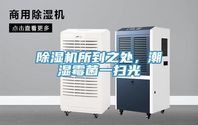 除濕機(jī)所到之處，潮濕霉菌一掃光