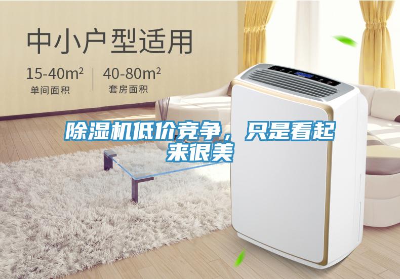 除濕機(jī)低價(jià)競(jìng)爭(zhēng)，只是看起來(lái)很美