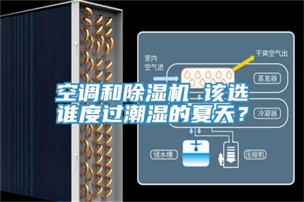空調(diào)和除濕機(jī) 該選誰(shuí)度過潮濕的夏天？