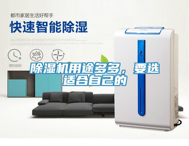除濕機用途多多，要選適合自己的