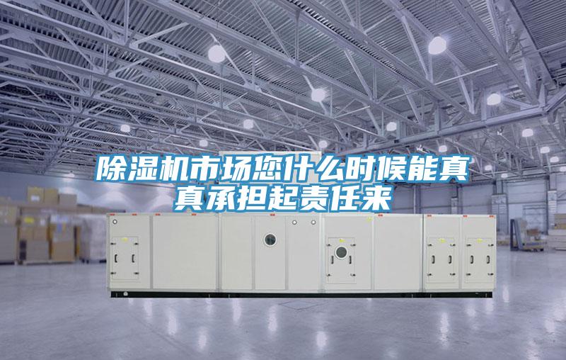除濕機(jī)市場(chǎng)您什么時(shí)候能真真承擔(dān)起責(zé)任來(lái)