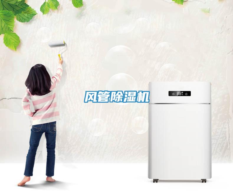 風(fēng)管除濕機(jī)