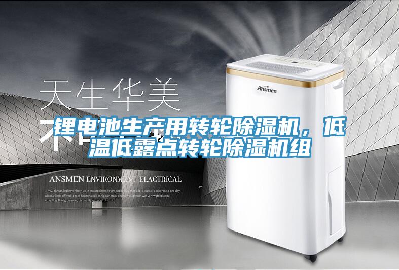 鋰電池生產(chǎn)用轉(zhuǎn)輪除濕機(jī)，低溫低露點(diǎn)轉(zhuǎn)輪除濕機(jī)組