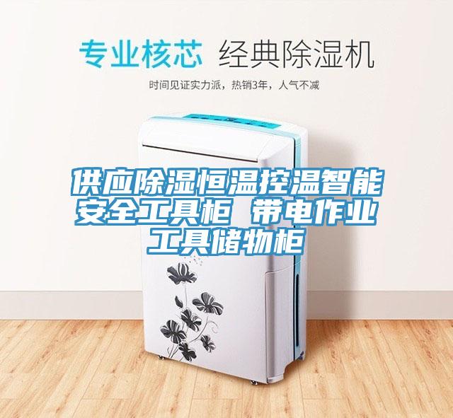 供應(yīng)除濕恒溫控溫智能安全工具柜 帶電作業(yè)工具儲物柜