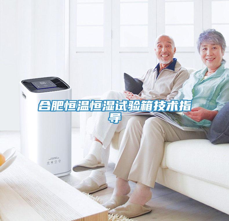 合肥恒溫恒濕試驗箱技術(shù)指導(dǎo)
