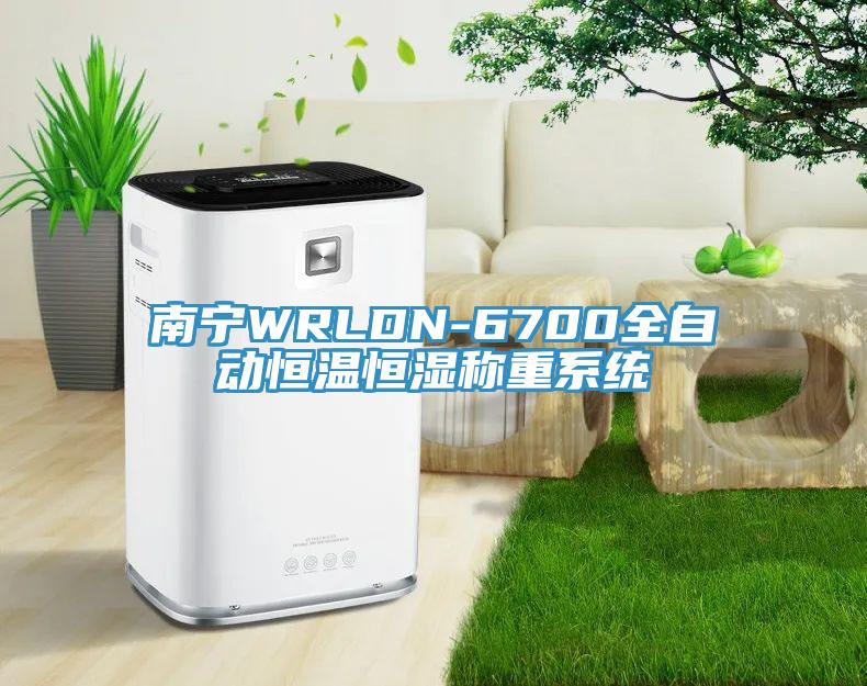 南寧WRLDN-6700全自動恒溫恒濕稱重系統(tǒng)