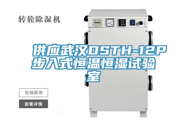 供應(yīng)武漢DSTH-12P步入式恒溫恒濕試驗室