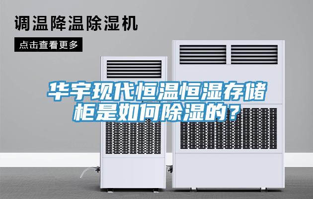華宇現(xiàn)代恒溫恒濕存儲(chǔ)柜是如何除濕的？