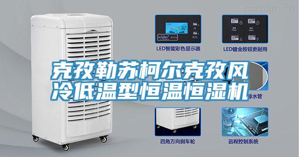 克孜勒蘇柯爾克孜風(fēng)冷低溫型恒溫恒濕機(jī)