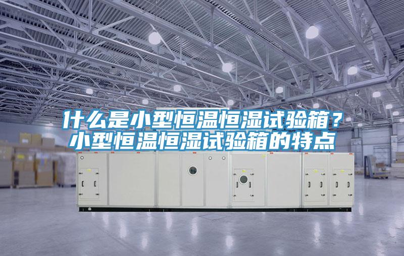 什么是小型恒溫恒濕試驗(yàn)箱？小型恒溫恒濕試驗(yàn)箱的特點(diǎn)