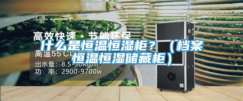 什么是恒溫恒濕柜？（檔案恒溫恒濕儲藏柜）