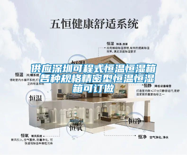 供應(yīng)深圳可程式恒溫恒濕箱 各種規(guī)格精密型恒溫恒濕箱可訂做