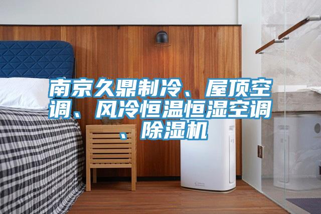 南京久鼎制冷、屋頂空調(diào)、風冷恒溫恒濕空調(diào)、除濕機