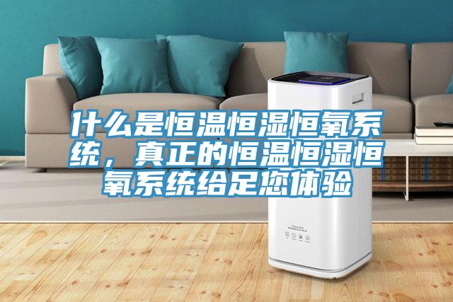 什么是恒溫恒濕恒氧系統(tǒng)，真正的恒溫恒濕恒氧系統(tǒng)給足您體驗(yàn)