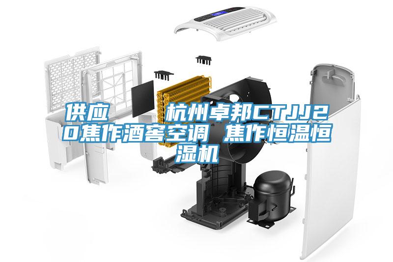 供應    杭州卓邦CTJJ20焦作酒窖空調 焦作恒溫恒濕機