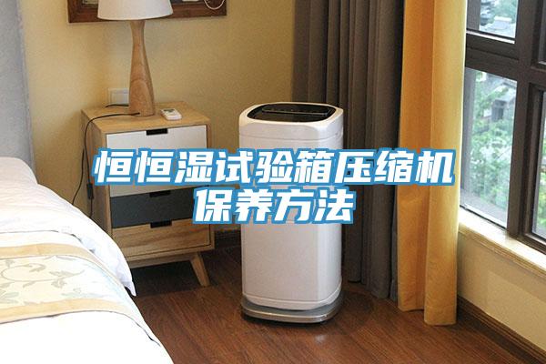 恒恒濕試驗箱壓縮機保養(yǎng)方法