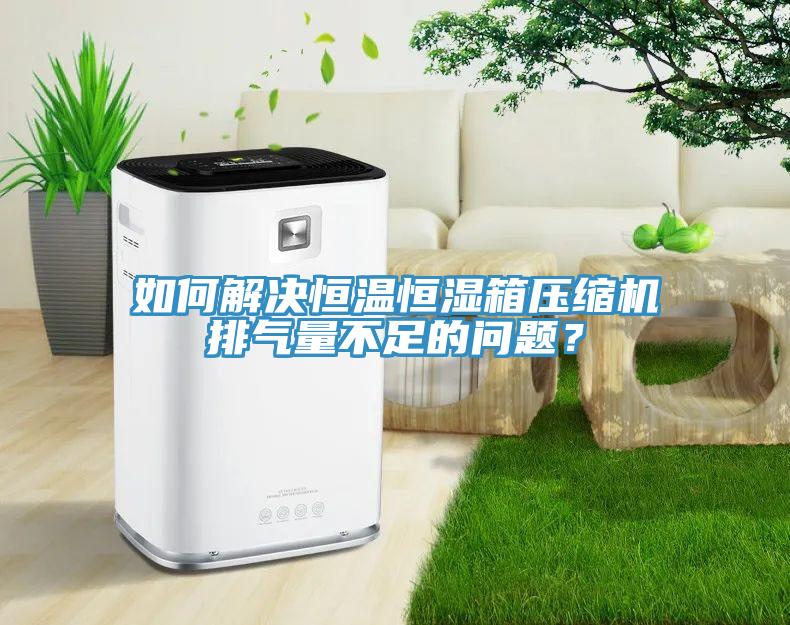 如何解決恒溫恒濕箱壓縮機(jī)排氣量不足的問(wèn)題？