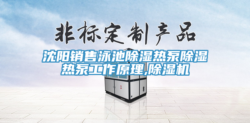 沈陽(yáng)銷售泳池除濕熱泵除濕熱泵工作原理,除濕機(jī)