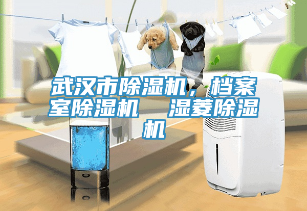 武漢市除濕機(jī)，檔案室除濕機(jī)  濕菱除濕機(jī)