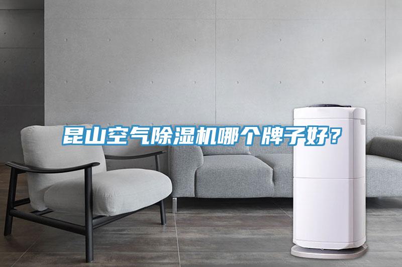 昆山空氣除濕機哪個牌子好？