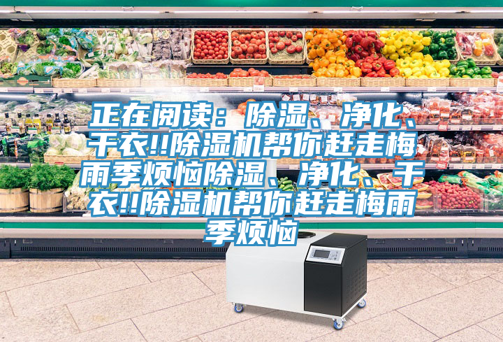 正在閱讀：除濕、凈化、干衣!!除濕機(jī)幫你趕走梅雨季煩惱除濕、凈化、干衣!!除濕機(jī)幫你趕走梅雨季煩惱