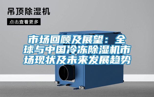 市場回顧及展望：全球與中國冷凍除濕機市場現(xiàn)狀及未來發(fā)展趨勢