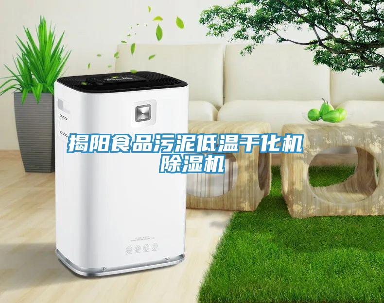 揭陽(yáng)食品污泥低溫干化機(jī) 除濕機(jī)