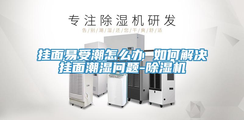 掛面易受潮怎么辦 如何解決掛面潮濕問題-除濕機