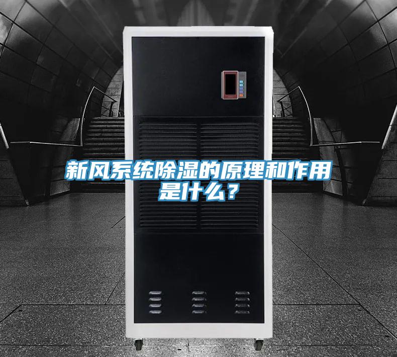 新風(fēng)系統(tǒng)除濕的原理和作用是什么？