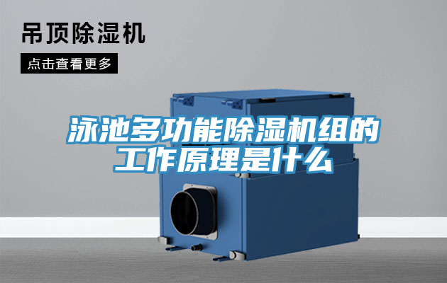 泳池多功能除濕機(jī)組的工作原理是什么
