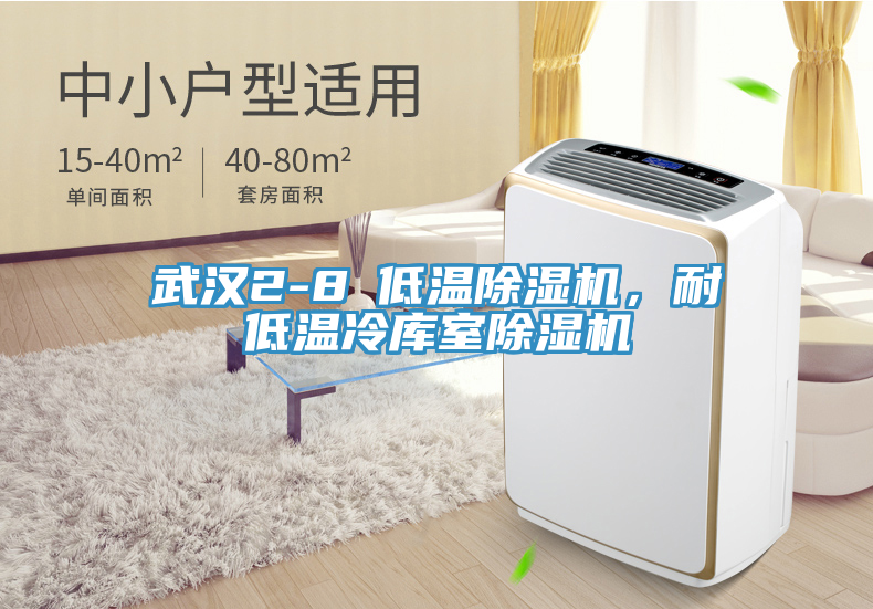 武漢2-8℃低溫除濕機(jī)，耐低溫冷庫(kù)室除濕機(jī)