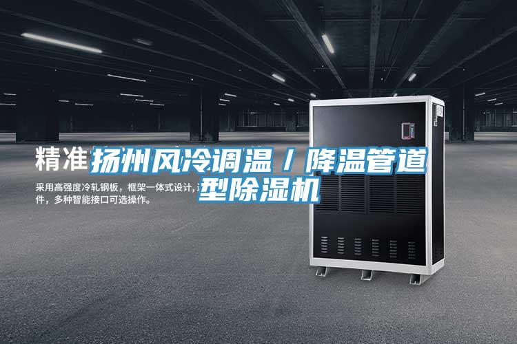 揚州風冷調(diào)溫／降溫管道型除濕機