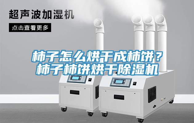 柿子怎么烘干成柿餅？柿子柿餅烘干除濕機