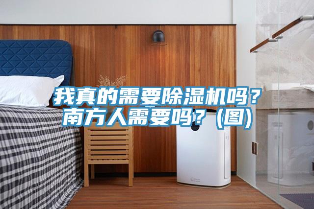 我真的需要除濕機(jī)嗎？南方人需要嗎？(圖)