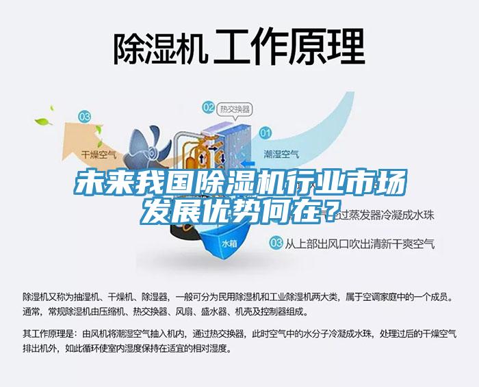 未來我國除濕機行業(yè)市場發(fā)展優(yōu)勢何在？