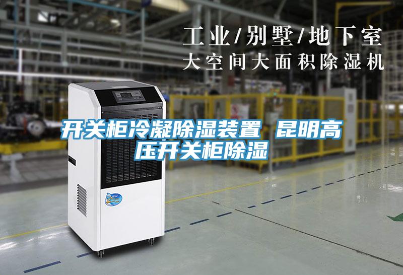 開關(guān)柜冷凝除濕裝置 昆明高壓開關(guān)柜除濕