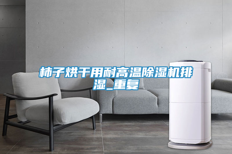 柿子烘干用耐高溫除濕機(jī)排濕_重復(fù)