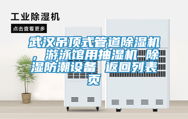 武漢吊頂式管道除濕機(jī)，游泳館用抽濕機(jī) 除濕防潮設(shè)備 返回列表頁(yè)