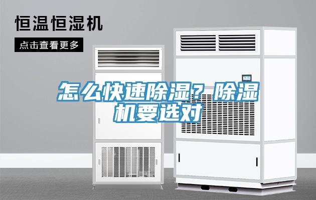 怎么快速除濕？除濕機(jī)要選對(duì)