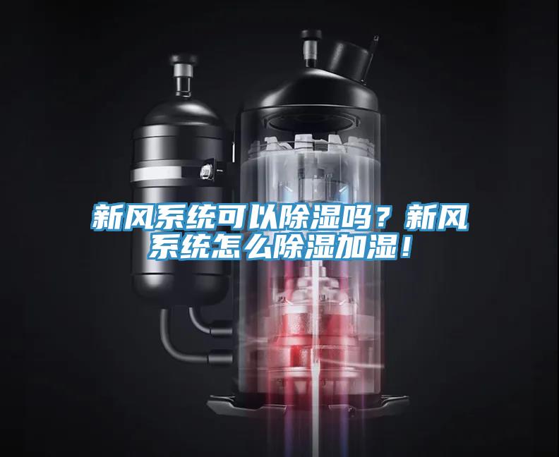 新風(fēng)系統(tǒng)可以除濕嗎？新風(fēng)系統(tǒng)怎么除濕加濕！