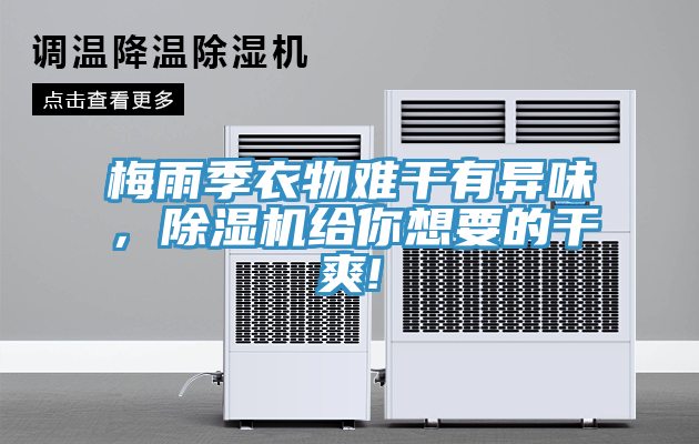 梅雨季衣物難干有異味，除濕機給你想要的干爽!