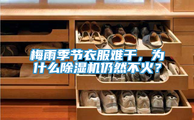 梅雨季節(jié)衣服難干，為什么除濕機仍然不火？