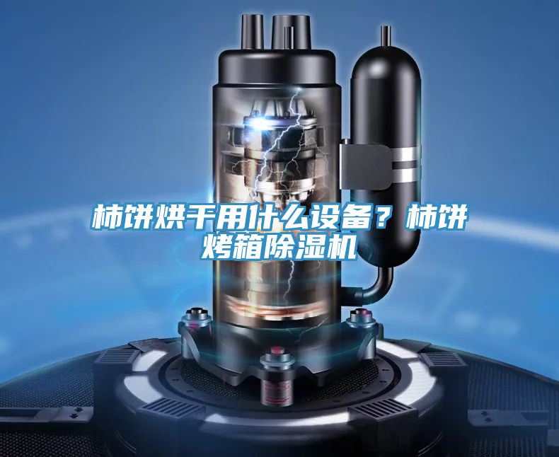 柿餅烘干用什么設(shè)備？柿餅烤箱除濕機(jī)