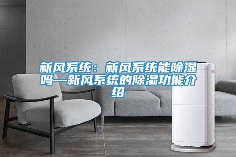 新風(fēng)系統(tǒng)：新風(fēng)系統(tǒng)能除濕嗎—新風(fēng)系統(tǒng)的除濕功能介紹