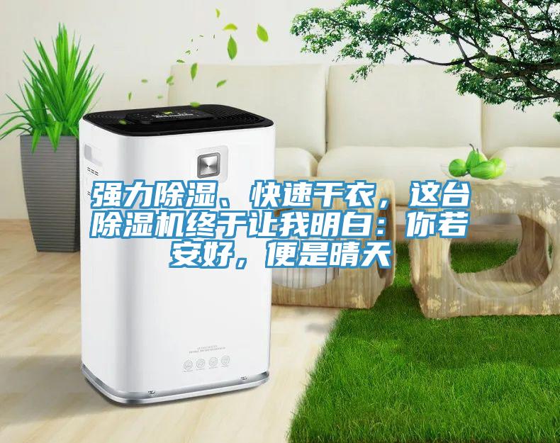 強力除濕、快速干衣，這臺除濕機終于讓我明白：你若安好，便是晴天