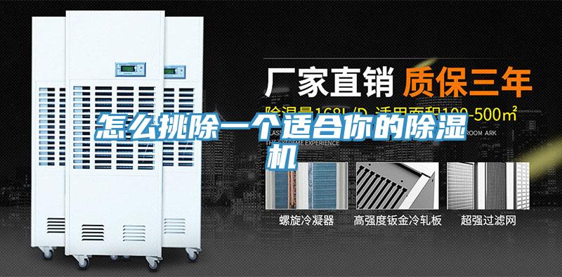 怎么挑除一個(gè)適合你的除濕機(jī)