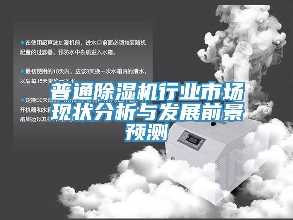 普通除濕機行業(yè)市場現(xiàn)狀分析與發(fā)展前景預(yù)測