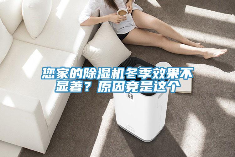 您家的除濕機(jī)冬季效果不顯著？原因竟是這個(gè)