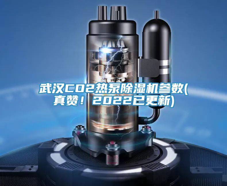 武漢CO2熱泵除濕機(jī)參數(shù)(真贊！2022已更新)